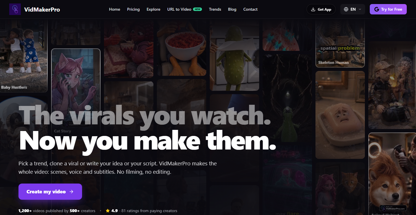 VidMakerPro screenshot